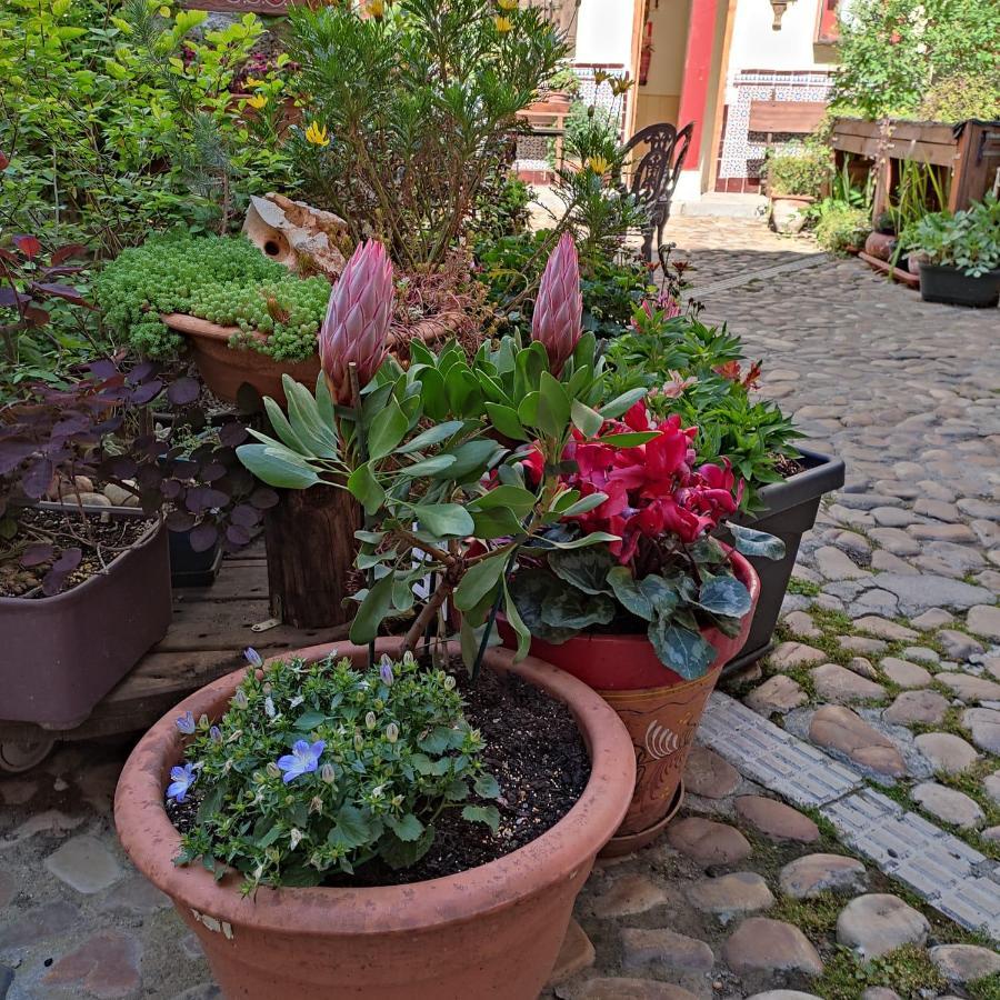 Hostal Castilla Aranjuez Exterior photo